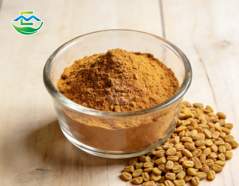 Fenugreek Seed Extract Powder